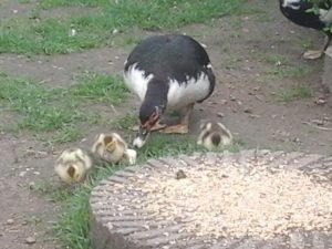 20160524_135113